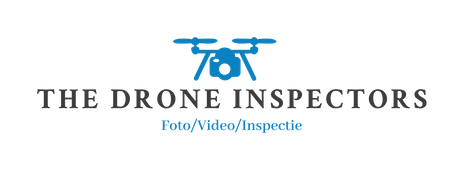 The Drone Inspectors